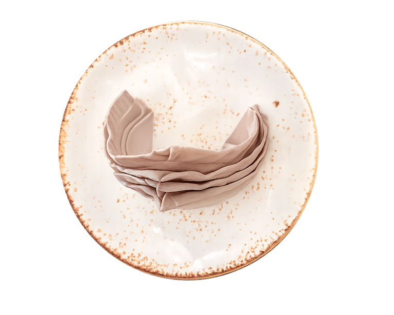 plato con servillete